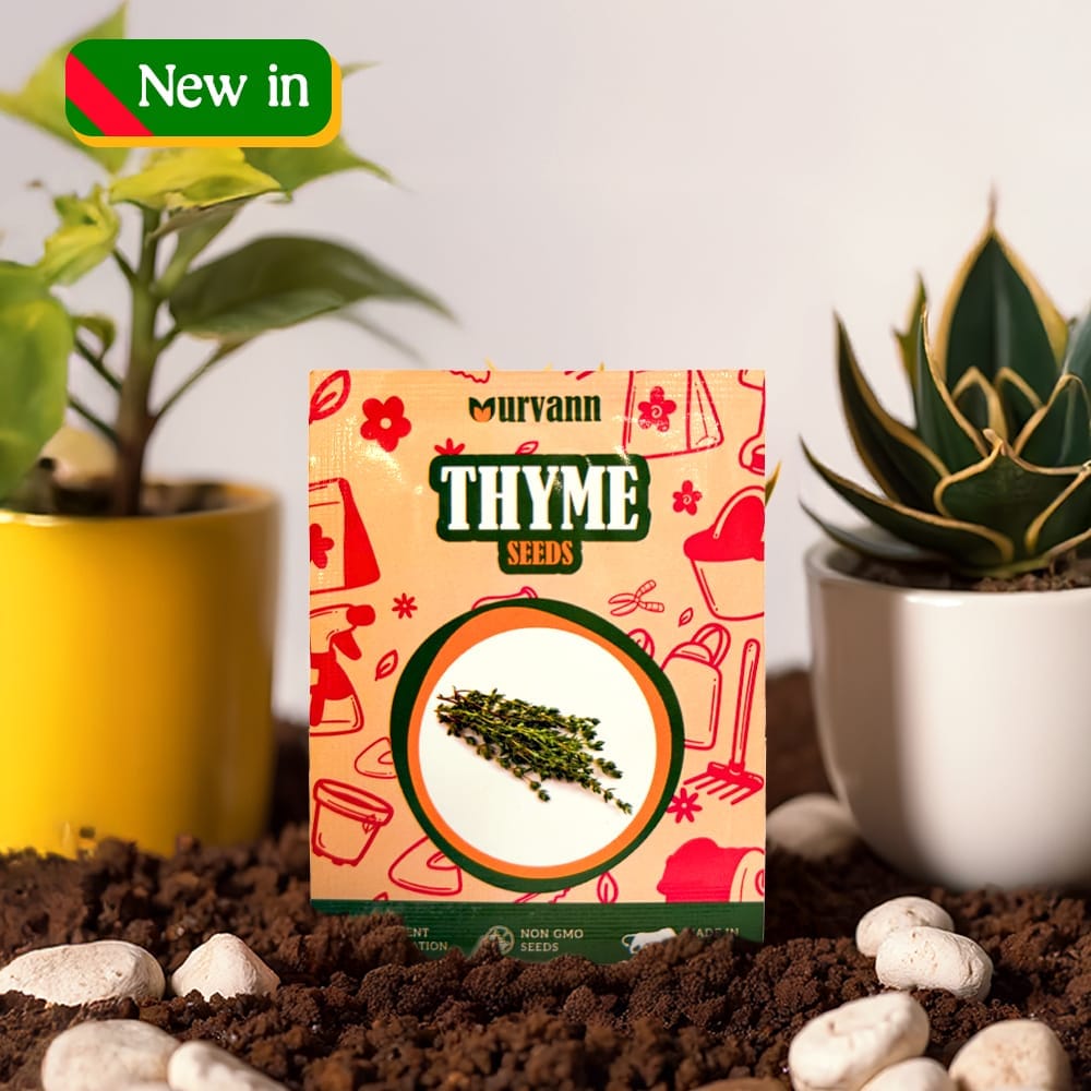 Thyme Exotic Seeds - GMO Free | Excellent Germination | Easy to Grow | Hand Picked