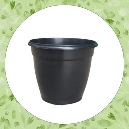 Free Gift - 3 Inch Ruby Black Elora Premium Plastic Planter - Flash Sale
