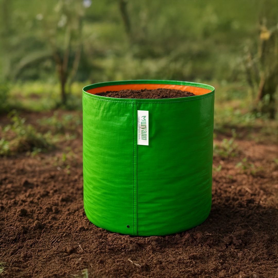 6 X 6 Inch KIVO Grow Bag - 260 GSM UV Stabilized Durable Premium material