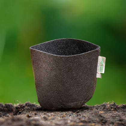 Buy Urvann 6x6 Inch Round Grow Bag – 400 GSM Heavy Duty Geo Fabric, Breathable, Reusable Planter for Home Gardening Online | Urvann.com