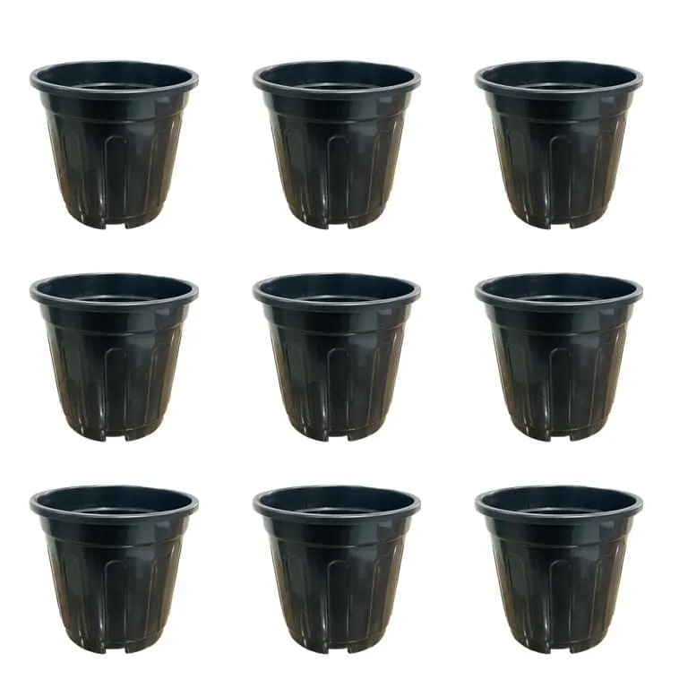 Set of 09 - 6 Inch Black Super Nursery Pot