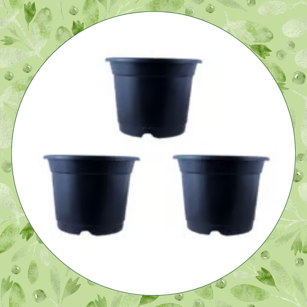 Free Gift - Set of 03 - 4 Inch Black Nursery Pot - Flash Sale Free Gift - Set of 03 - 4 Inch Black Nursery Pot - Flash Sale