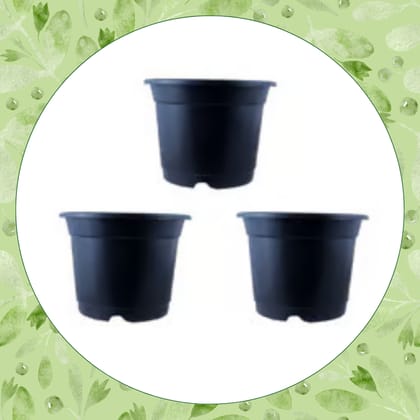 Free Gift - Set of 03 - 4 Inch Black Nursery Pot - Flash Sale
