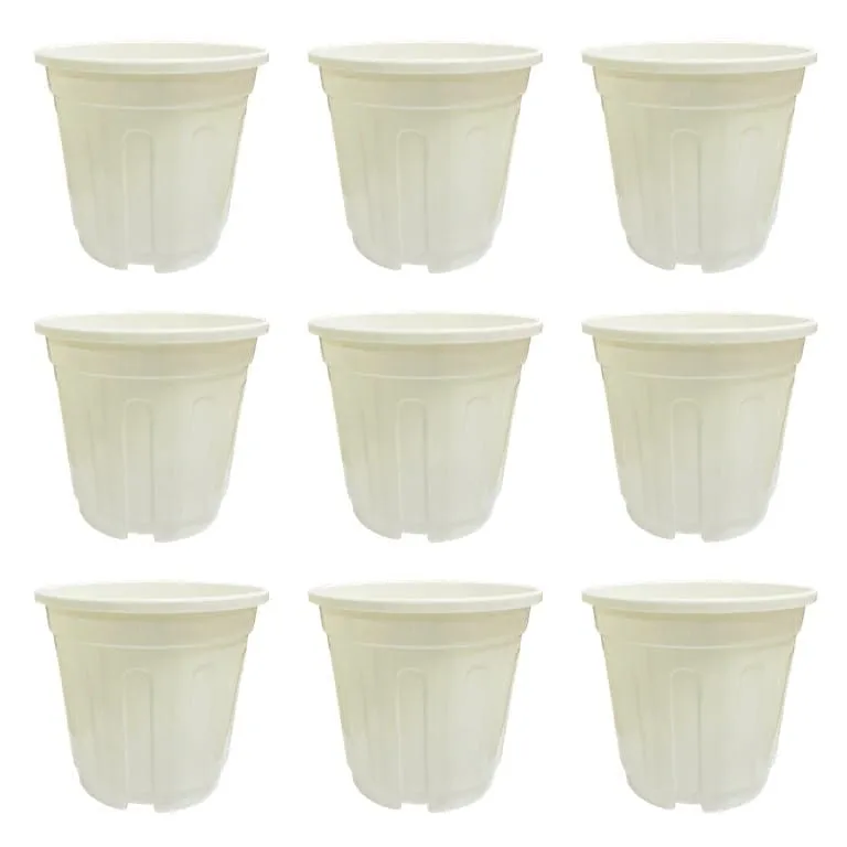 Set of 09 - 6 Inch White Super Nursery Pot
