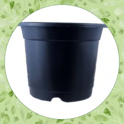 Free Gift - 4 Inch Black Nursery Pot - Flash Sale