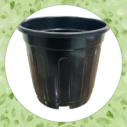 Free Gift - 6 Inch Black Super Nursery Pot - Flash Sale