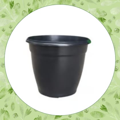 Free Gift - 5 Inch Cloudy Black Elora Premium Plastic Planter - Flash Sale
