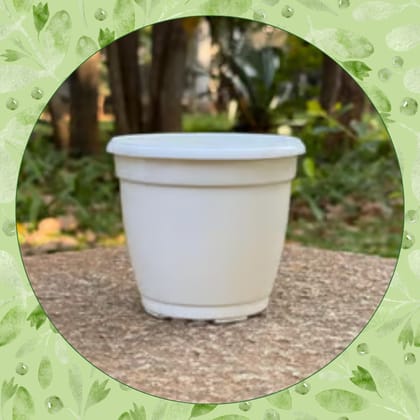 Free Gift - 3 Inch Cloudy White Elora Premium Plastic Planter - Flash Sale