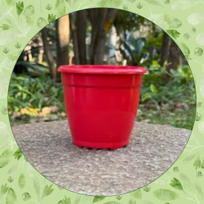 Free Gift - 3 Inch Ruby Red Elora Premium Plastic Planter - Flash Sale
