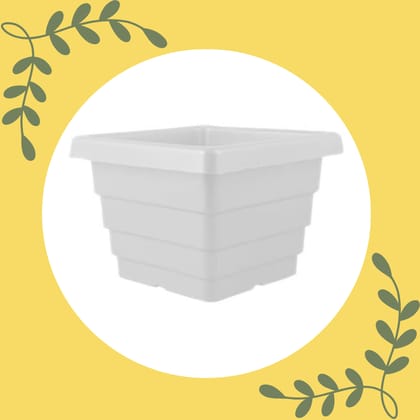 Free Gift - 4 Inch White Marble Premium Orchid Square Plastic Pot - Flash Sale
