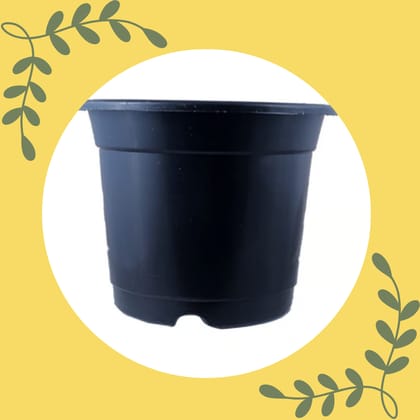 Free Gift - 4 Inch Black Nursery Pot - Flash Sale