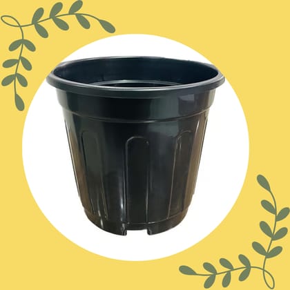 Free Gift - 6 Inch Black Super Nursery Pot - Flash Sale