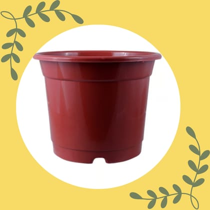 Free Gift - 4 Inch Red Nursery Pot - Flash Sale