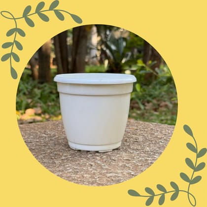 Free Gift - 3 Inch Cloudy White Elora Premium Plastic Planter - Flash Sale