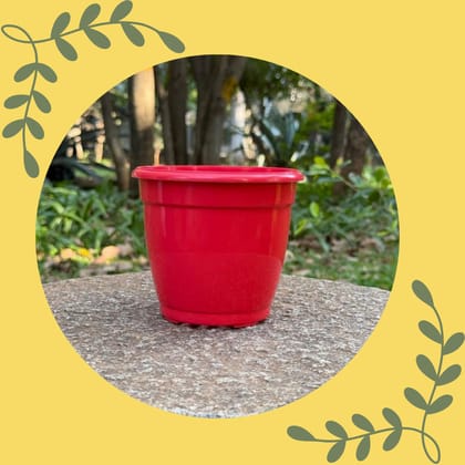 Free Gift - 3 Inch Ruby Red Elora Premium Plastic Planter - Flash Sale