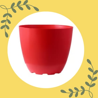Free Gift - 4 Inch Red Premium Orchid Round Plastic Pot - Flash Sale