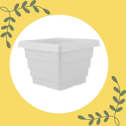 Free Gift - 4 Inch White Marble Premium Orchid Square Plastic Pot - Flash Sale