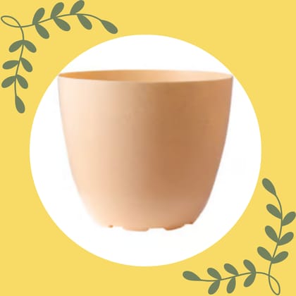 Free Gift - 6 Inch Beige Marble Premium Orchid Round Plastic Pot - Flash Sale