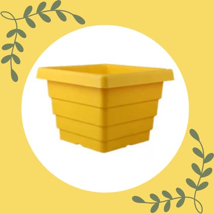 Free Gift - 4 Inch Yellow Premium Orchid Square Plastic Pot - Flash Sale