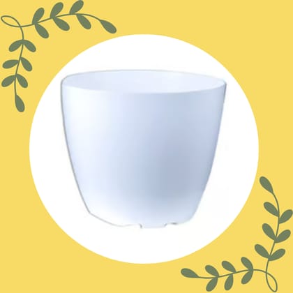 Free Gift - 6 Inch White Premium Orchid Round Plastic Pot - Flash Sale