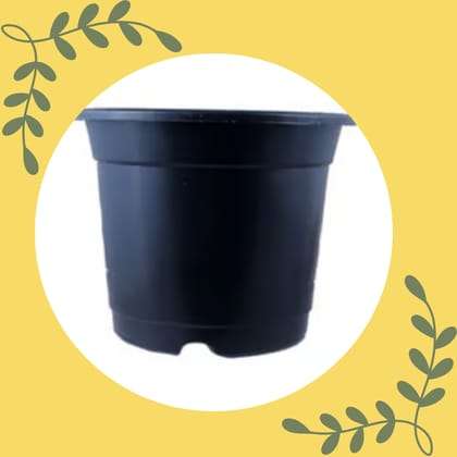 Free Gift - 4 Inch Black Nursery Pot - Flash Sale