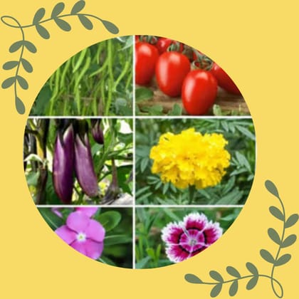 Free Gift - Assorted Seeds - Excellent Germination - Flash Sale