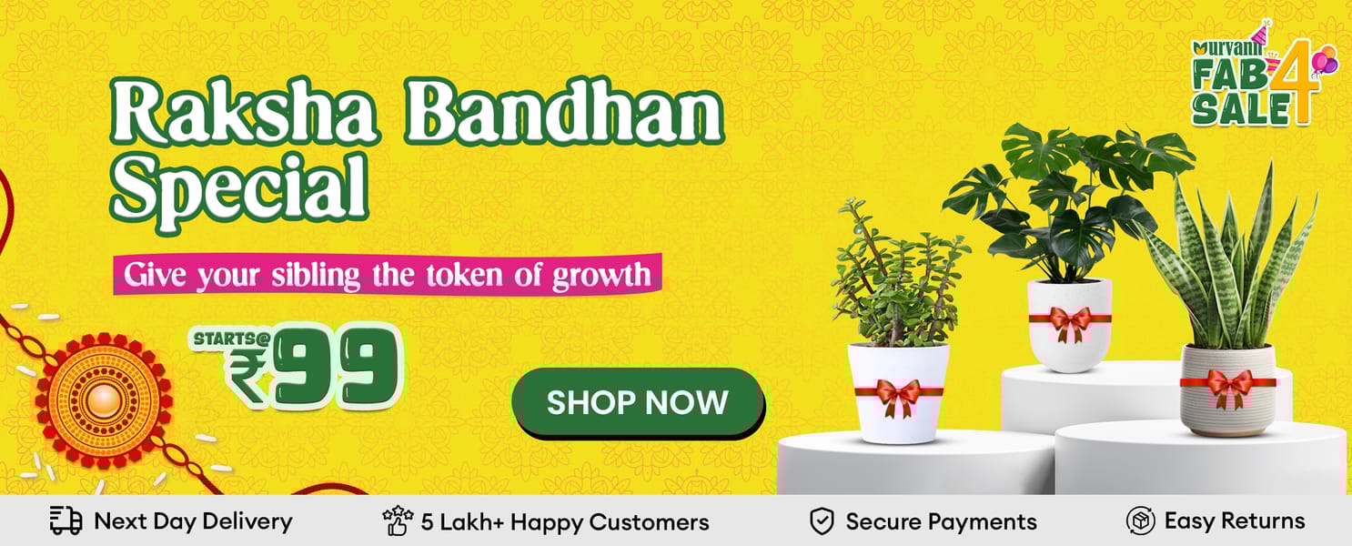 Raksha Bandhan