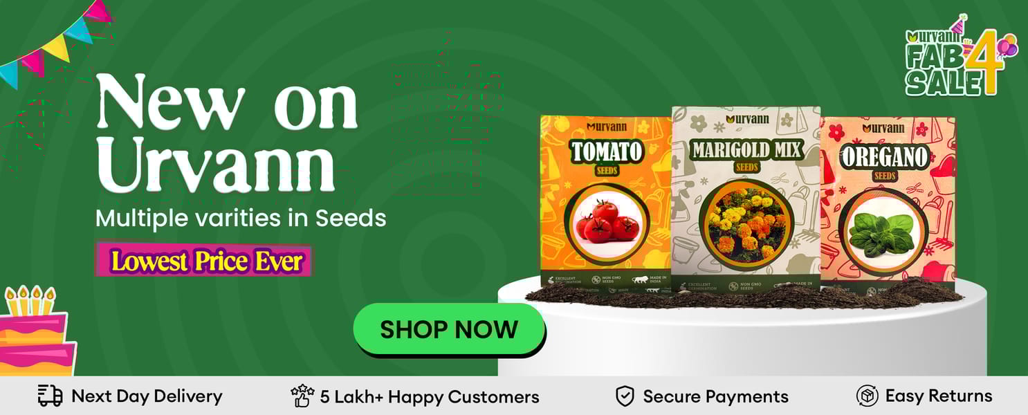 Seeds Launch