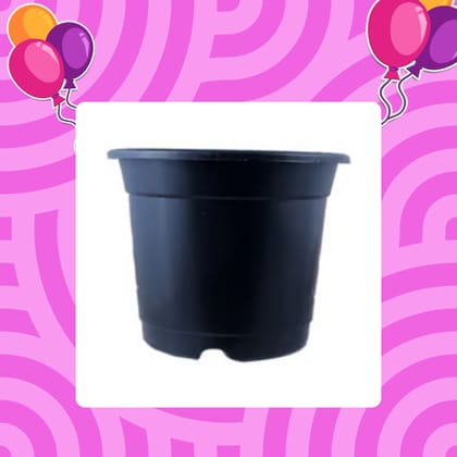 Free Gift - 4 Inch Black Nursery Pot - Flash Sale
