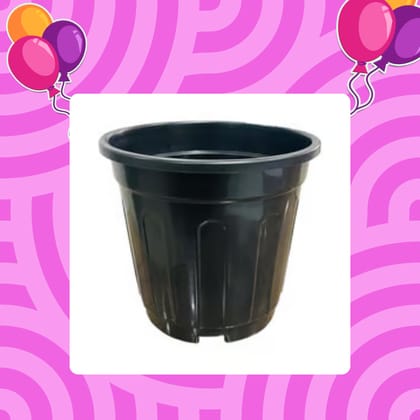 Free Gift - 6 Inch Black Super Nursery Pot - Flash Sale