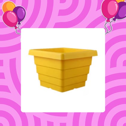 Free Gift - 4 Inch Yellow Premium Orchid Square Plastic Pot - Flash Sale