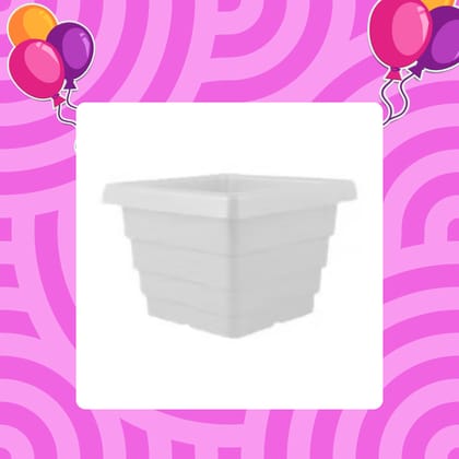 Free Gift - 4 Inch White Marble Premium Orchid Square Plastic Pot - Flash Sale