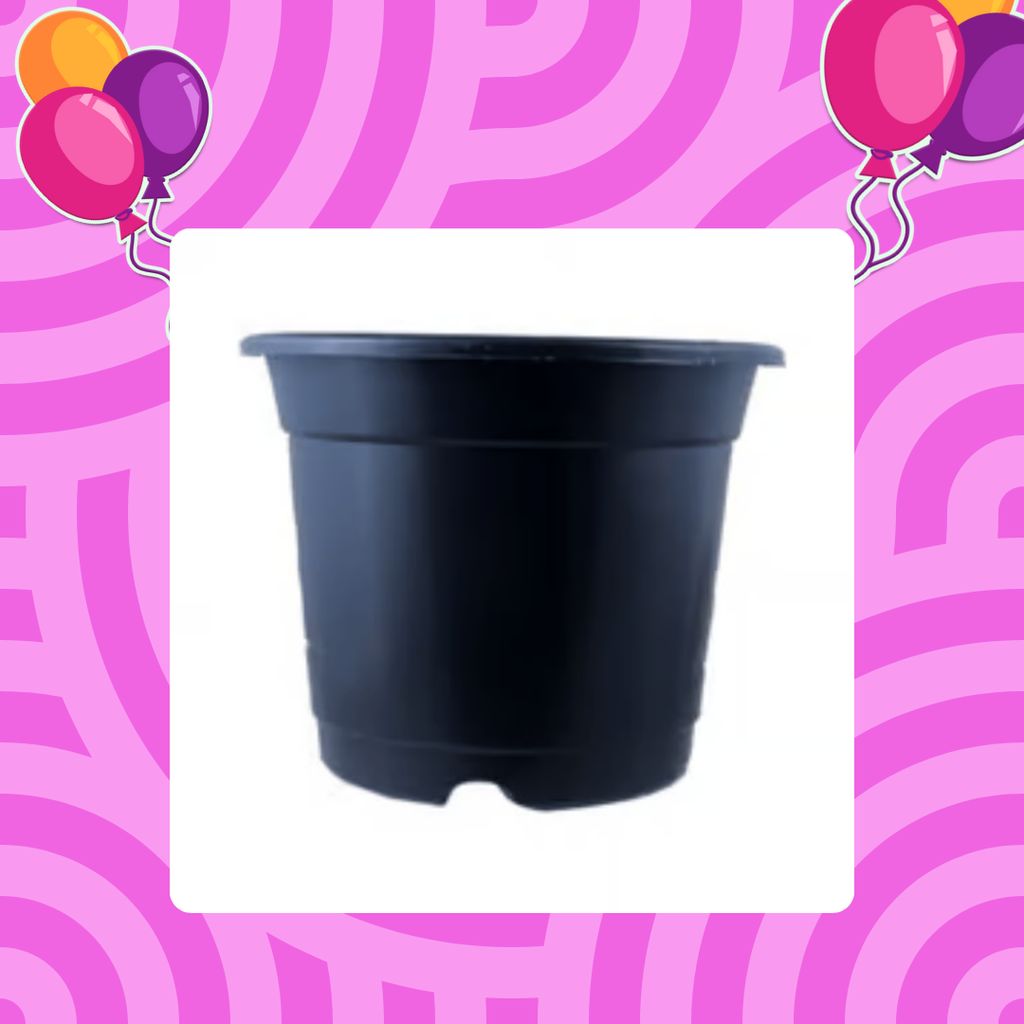 Free Gift - 5 Inch Black Nursery Pot - Flash Sale Free Gift - 5 Inch Black Nursery Pot - Flash Sale