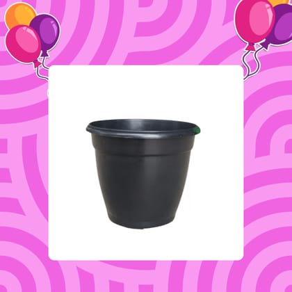Free Gift - 3 Inch Ruby Black Elora Premium Plastic Planter - Flash Sale