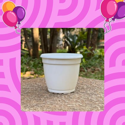 Free Gift - 3 Inch Cloudy White Elora Premium Plastic Planter - Flash Sale