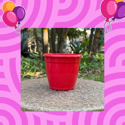 Free Gift - 3 Inch Ruby Red Elora Premium Plastic Planter - Flash Sale
