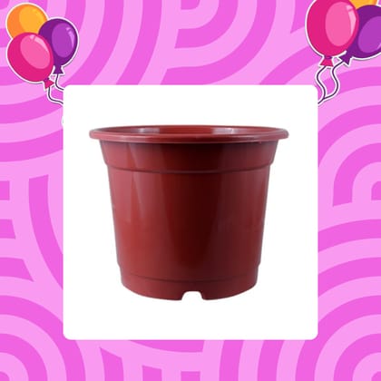 Free Gift - 4 Inch Red Nursery Pot - Flash Sale