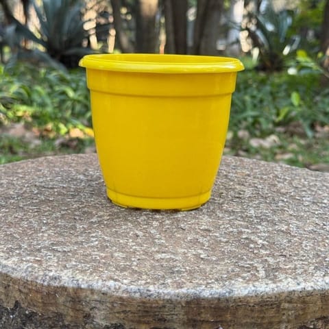 3 Inch Sunshine Yellow Elora Premium Plastic Planter