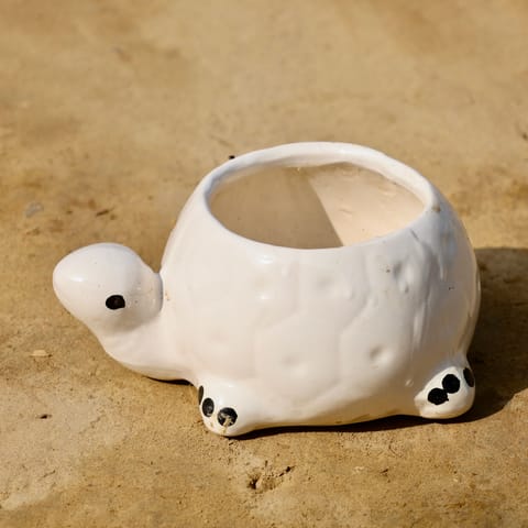 6 Inch Turtle Designer Ceramic Pot (Any Colour & Design)