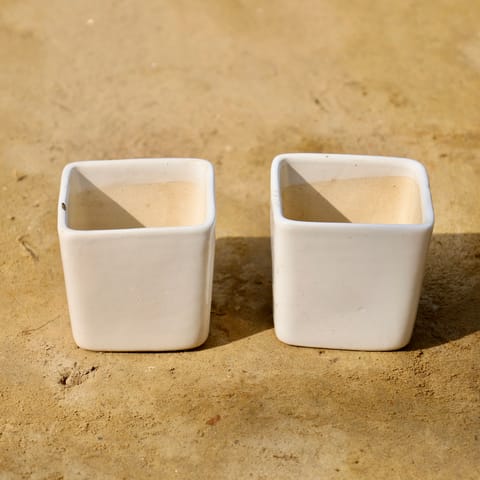 Set of 2 - 4 Inch White Square Ceramic Pot