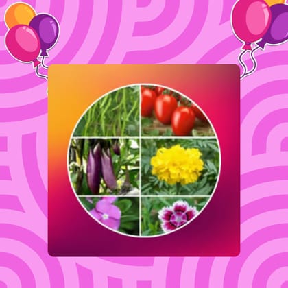 Free Gift  -  Surprise Seed Packet- Excellent Germination - Flash Sale