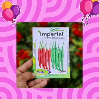 Free Gift - Chilli / Mirchi Jawala Seeds - Excellent Germination - Flash Sale