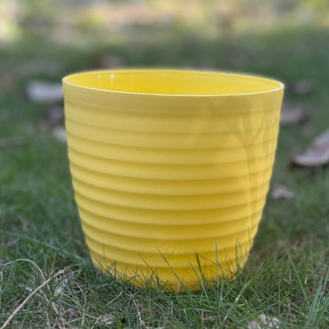 5 Inch yellow Avora Premium Plastic Planter