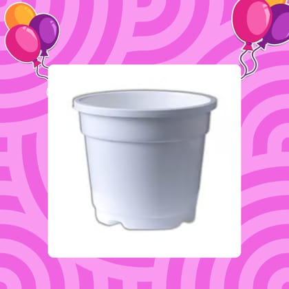 Free Gift - 4 Inch White Nursery Pot - Flash Sale