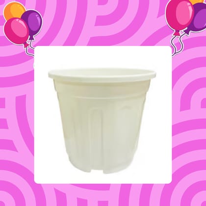 Free Gift - 6 Inch White Super Nursery Pot - Flash Sale