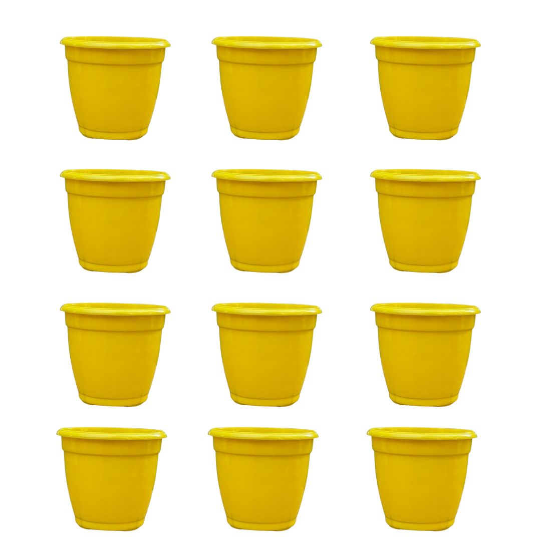 Set of 12 - 3 Inch Sunshine Yellow Elora Premium Plastic Planter