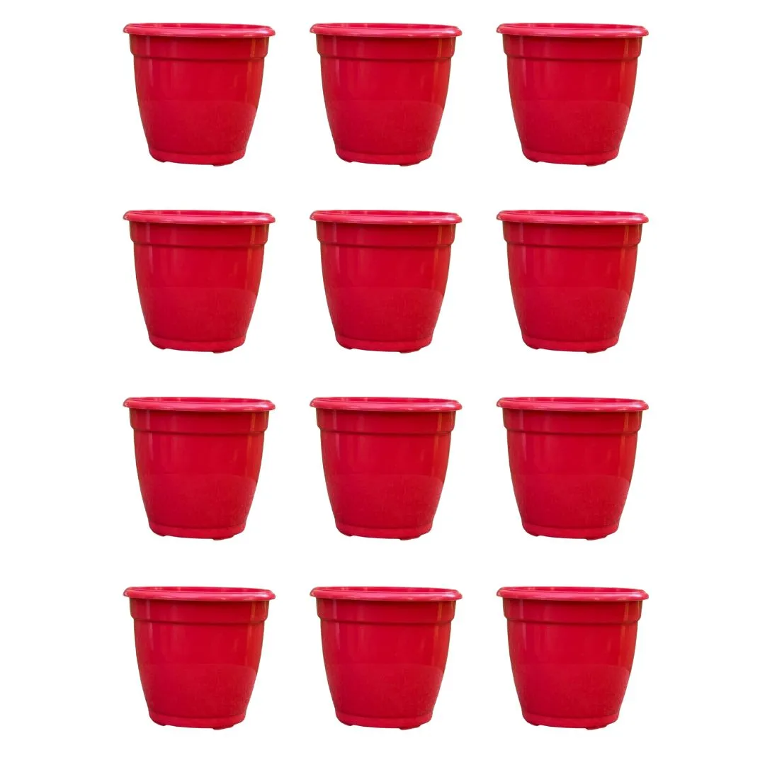 Set of 12 - 3 Inch Ruby Red Elora Premium Plastic Planter