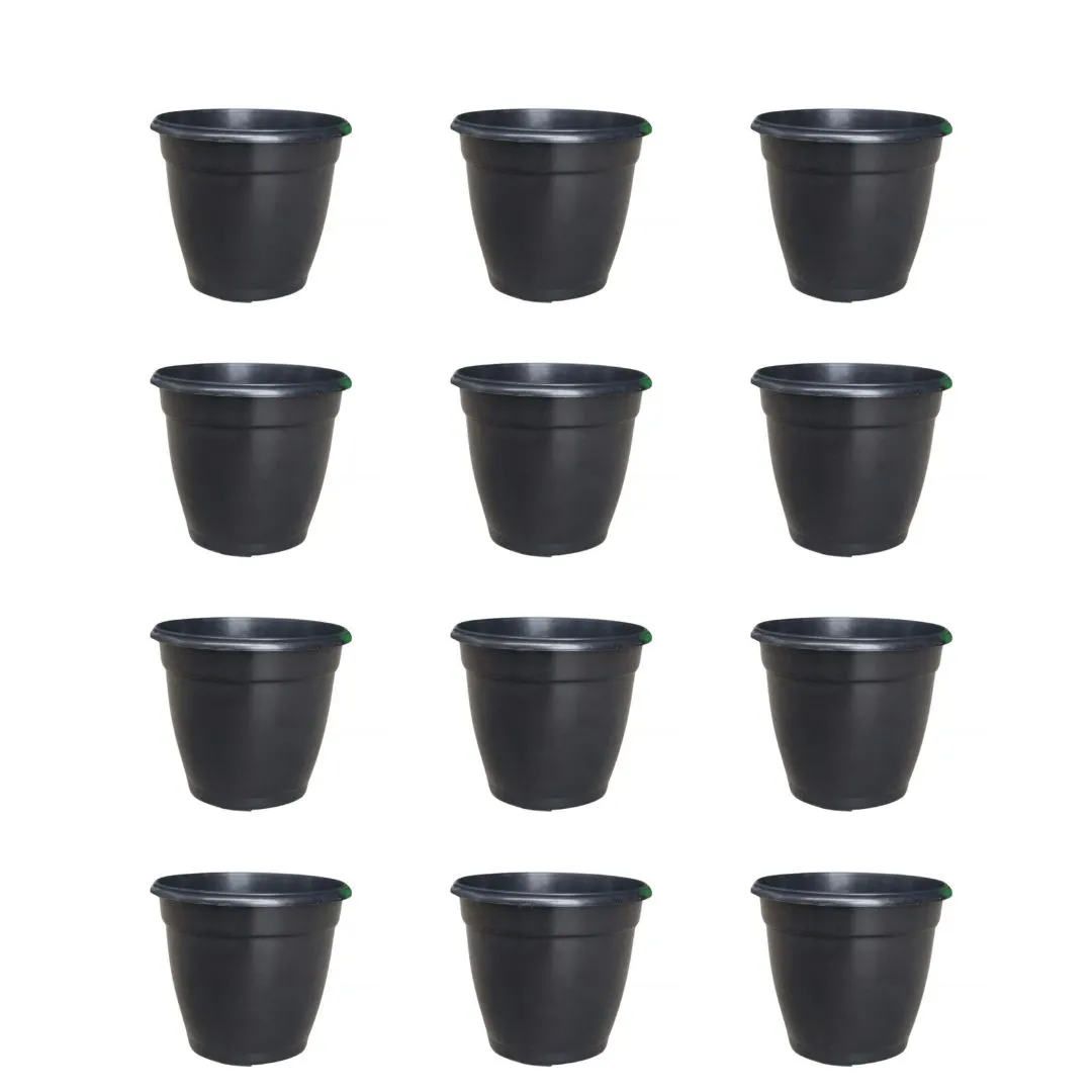 Set of 12 - 3 Inch Ruby Black Elora Premium Plastic Planter