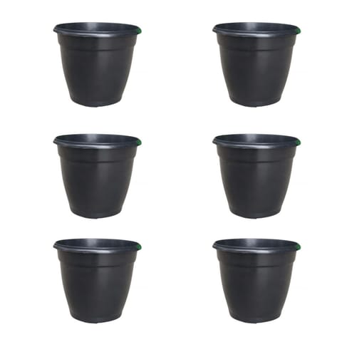 Set of 6 - 3 Inch Ruby Black Elora Premium Plastic Planter