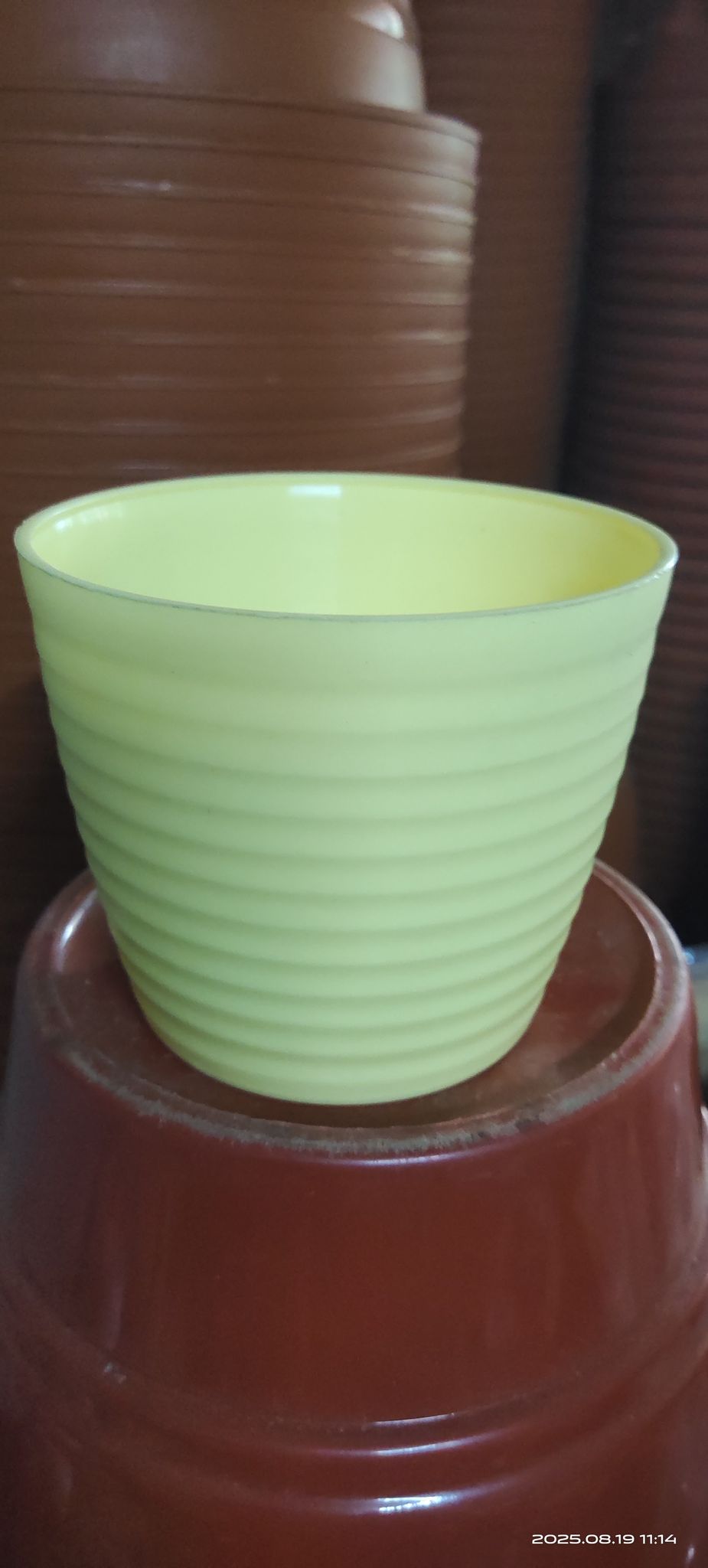 5 Inch Elvan yellow Avora Premium Plastic Planter
